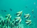 DSC00318.JPG