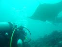 DSC00325.JPG