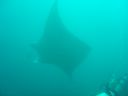 DSC00333.JPG