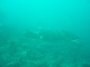 DSC00341.JPG