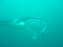 DSC00342.JPG