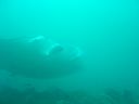 DSC00343.JPG