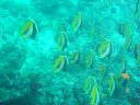 DSC00344.JPG