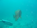 DSC00345.JPG