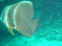 DSC00346.JPG