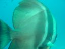 DSC00347.JPG