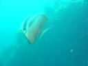 DSC00348.JPG