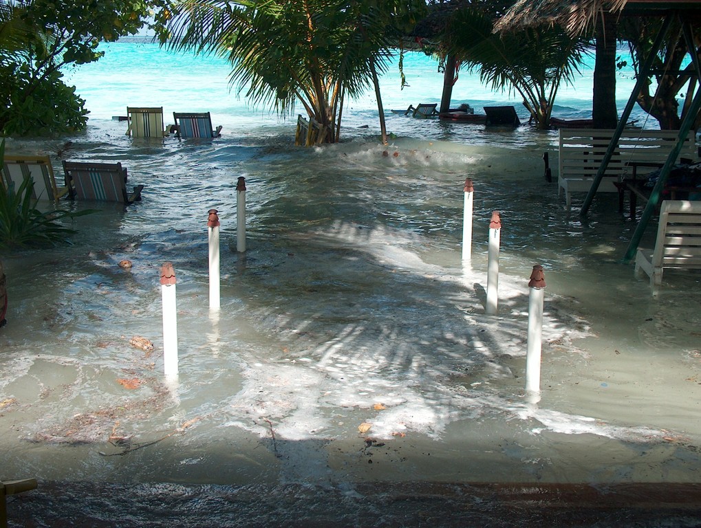tsunami1.JPG