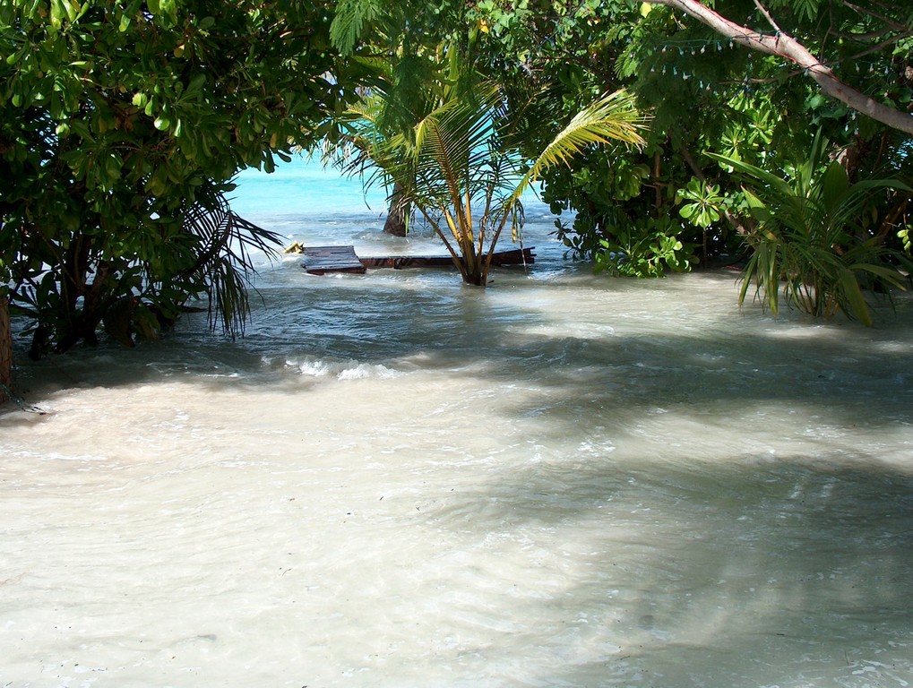tsunami2.JPG