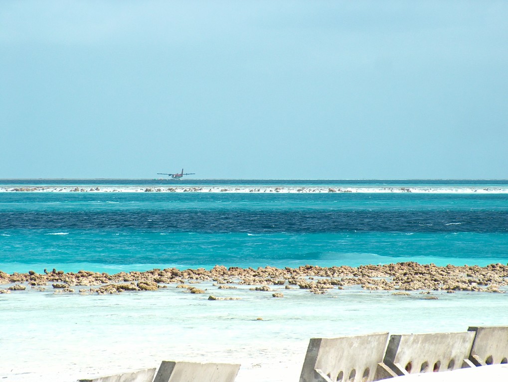 tsunami7.JPG