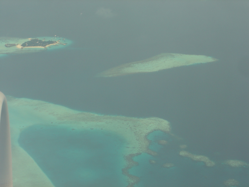 DSC00003.JPG