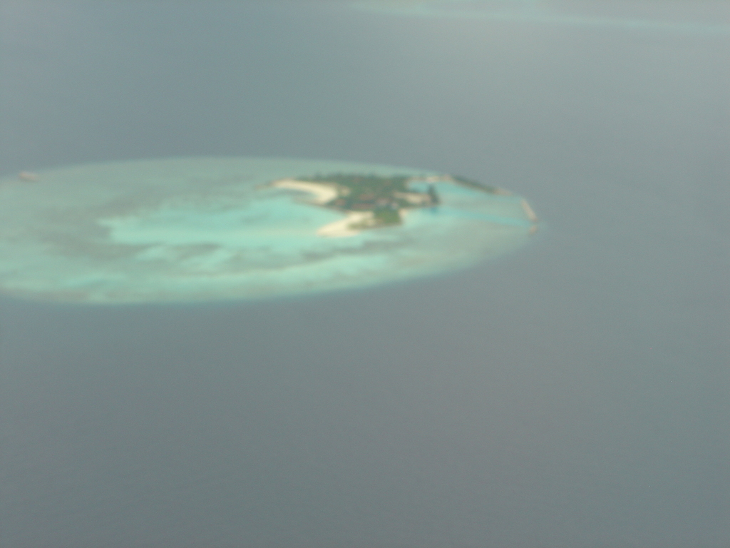 DSC00014.JPG