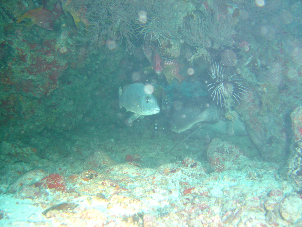 DSC00036.JPG