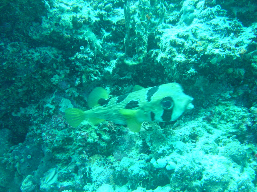 DSC00043.JPG