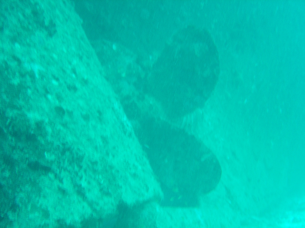 DSC00057.JPG
