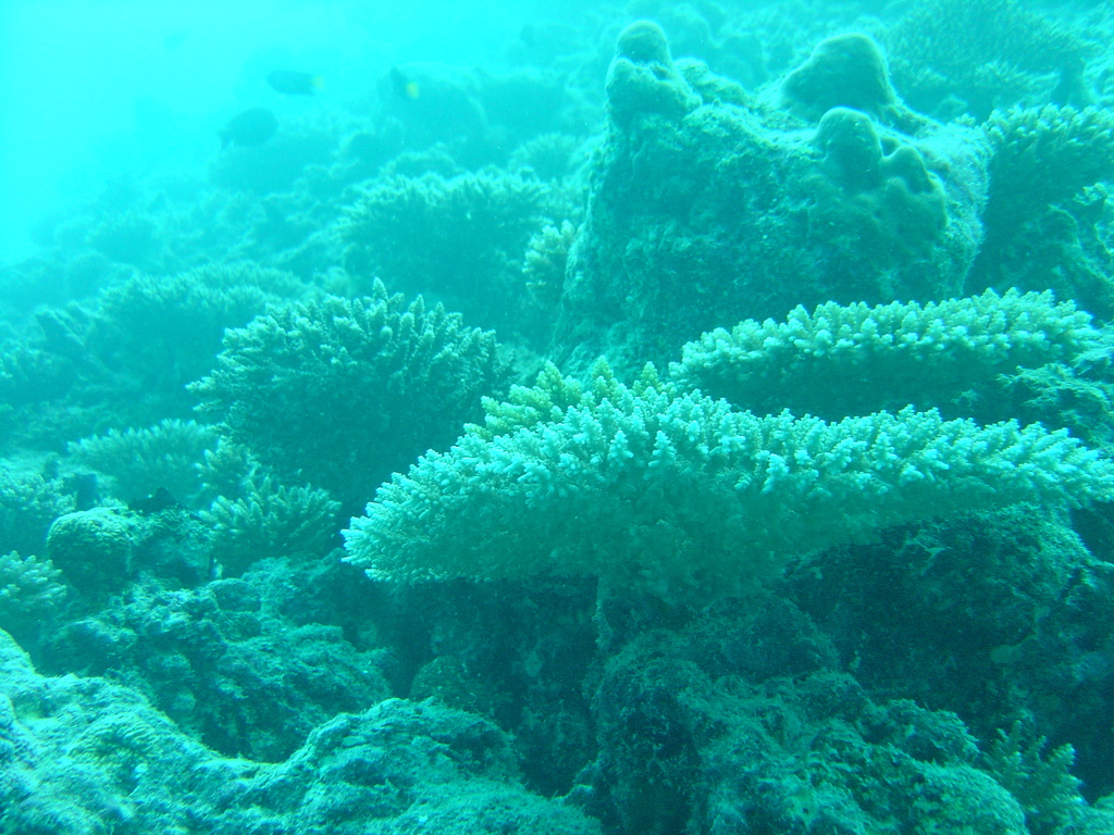 DSC00074.JPG