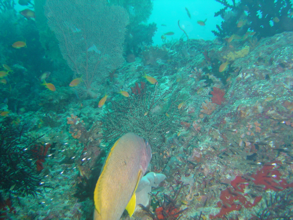 DSC00089.JPG