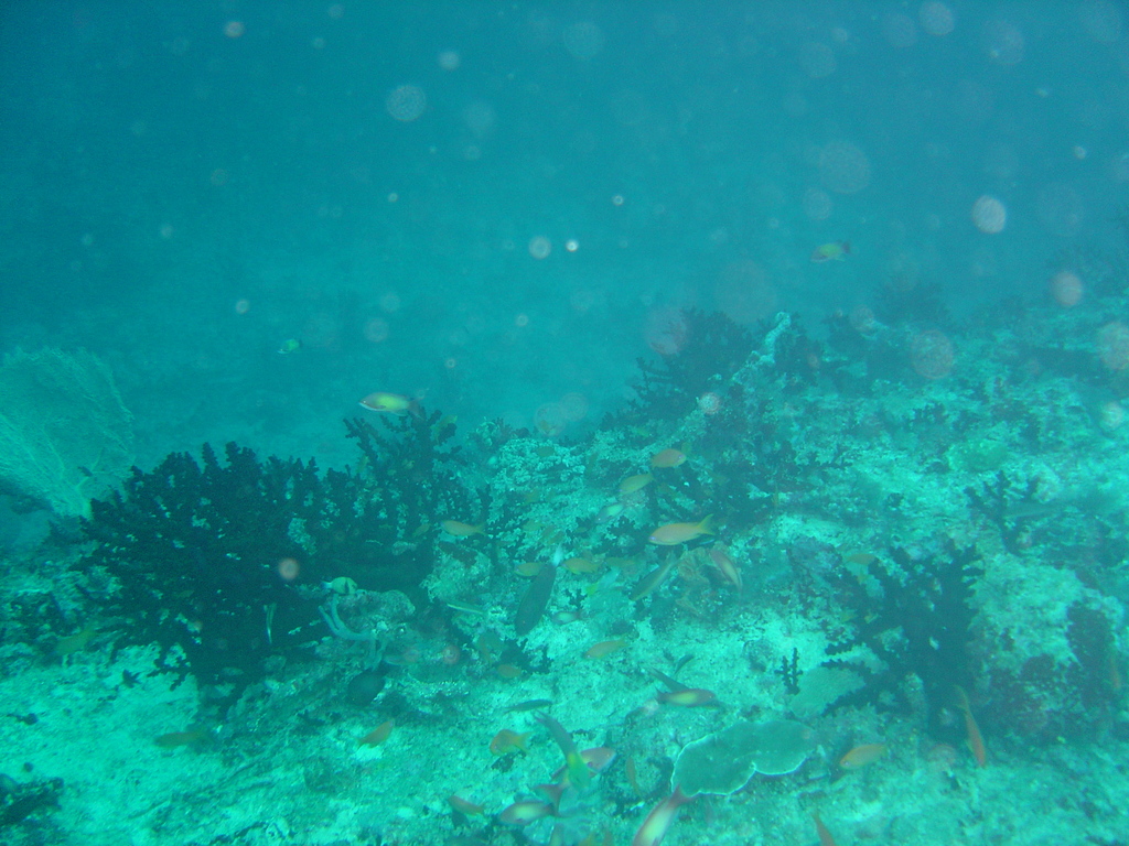DSC00098.JPG