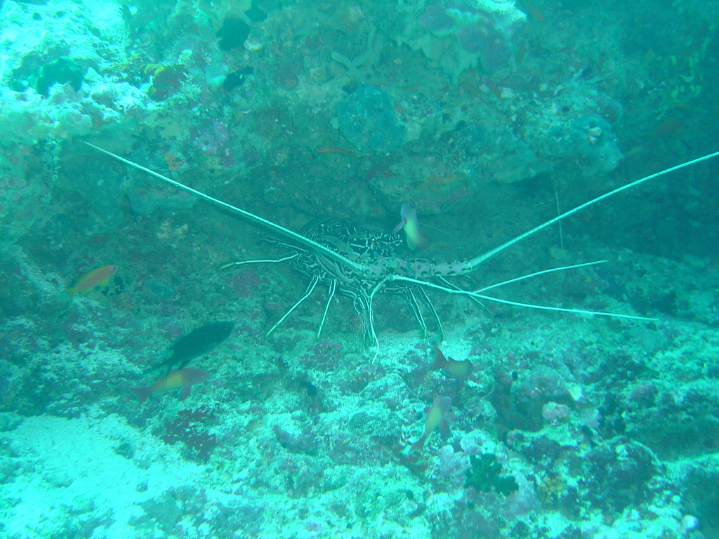 DSC00129.JPG