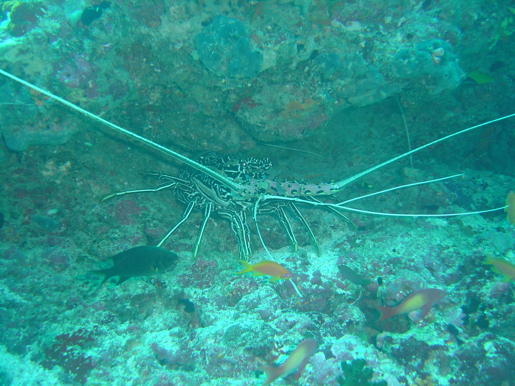 DSC00130.JPG