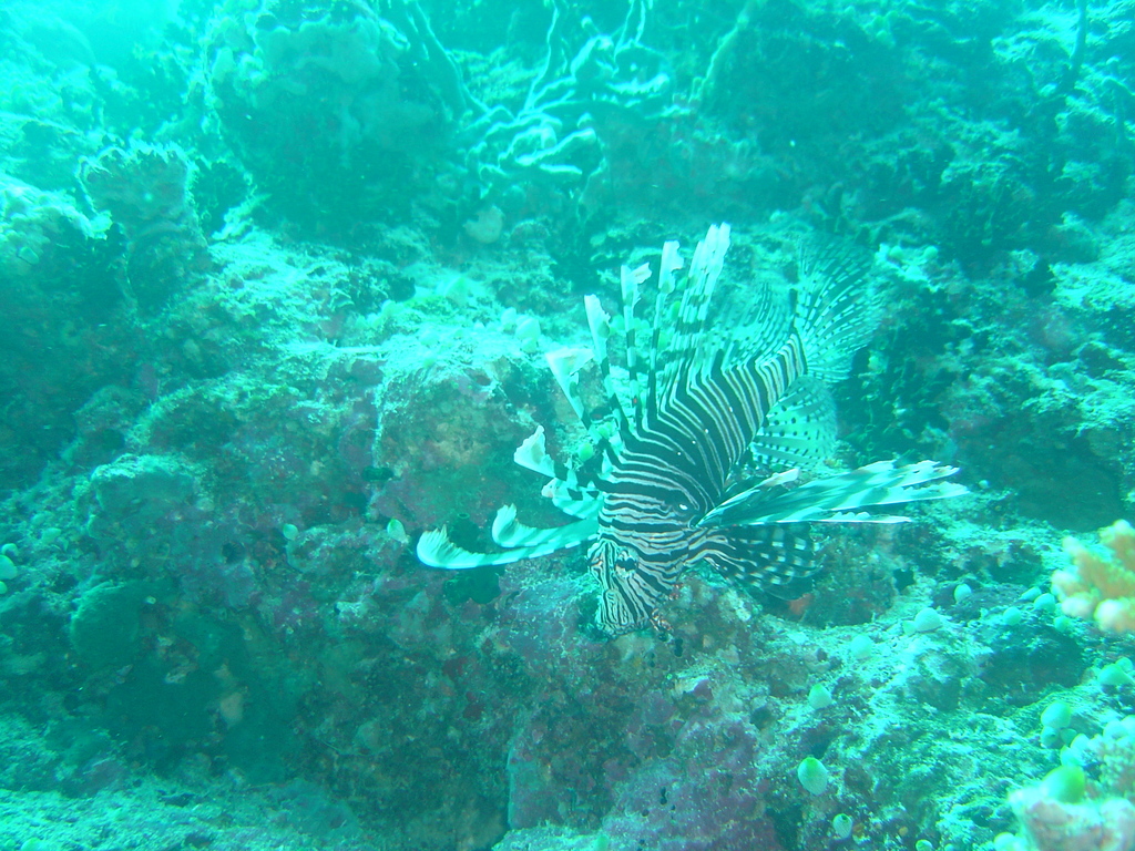 DSC00132.JPG