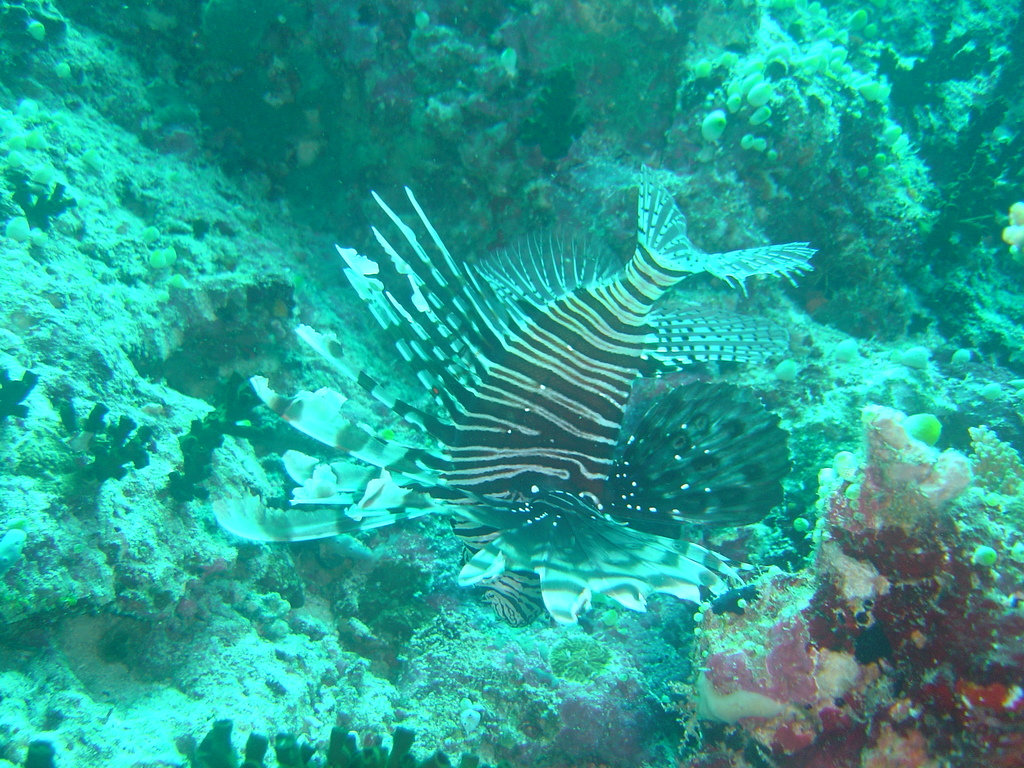 DSC00133.JPG