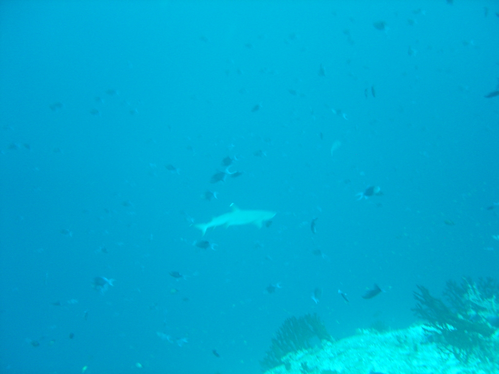 DSC00178.JPG