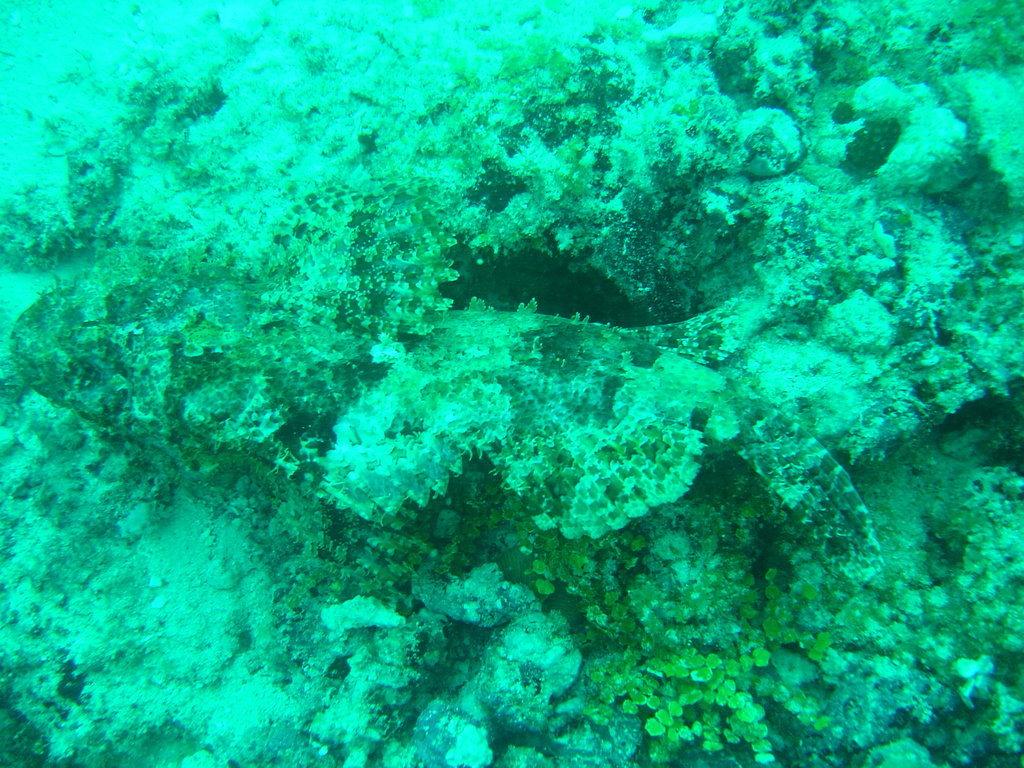 DSC00208.JPG