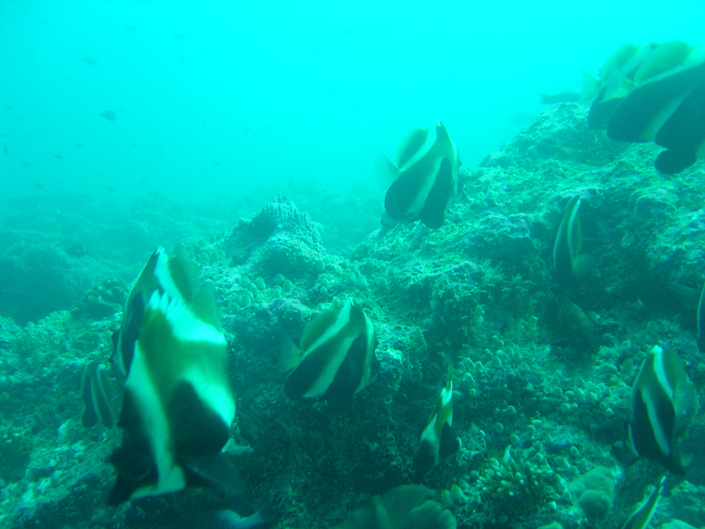 DSC00216.JPG
