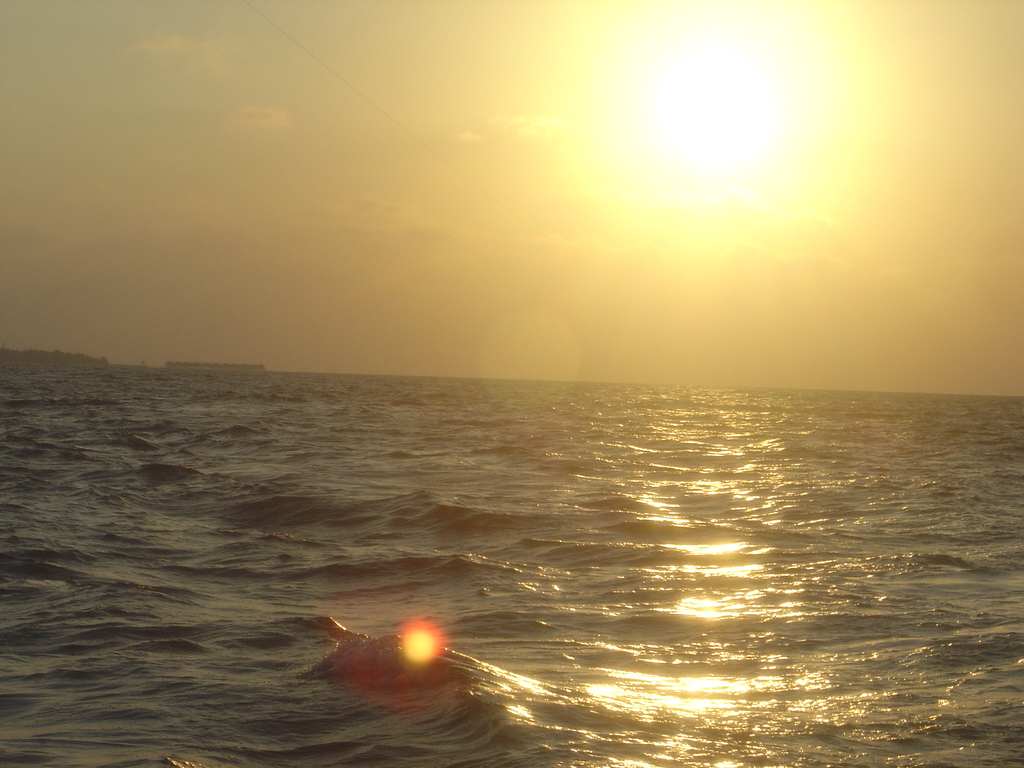 DSC00220.JPG