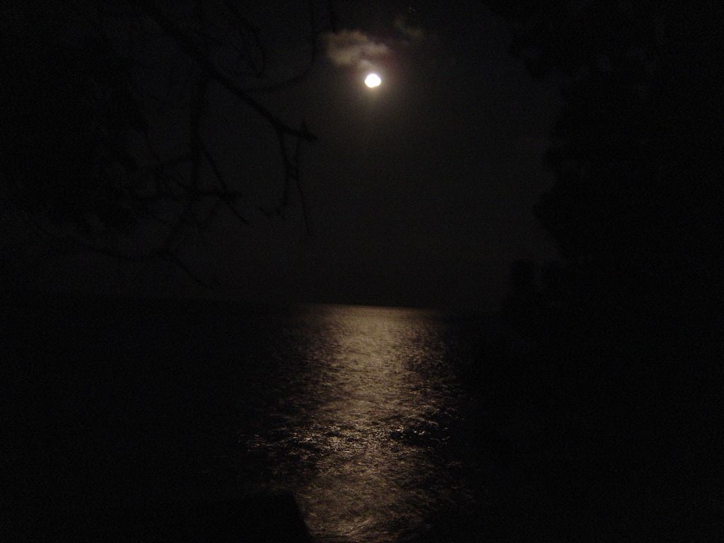 DSC00226.JPG