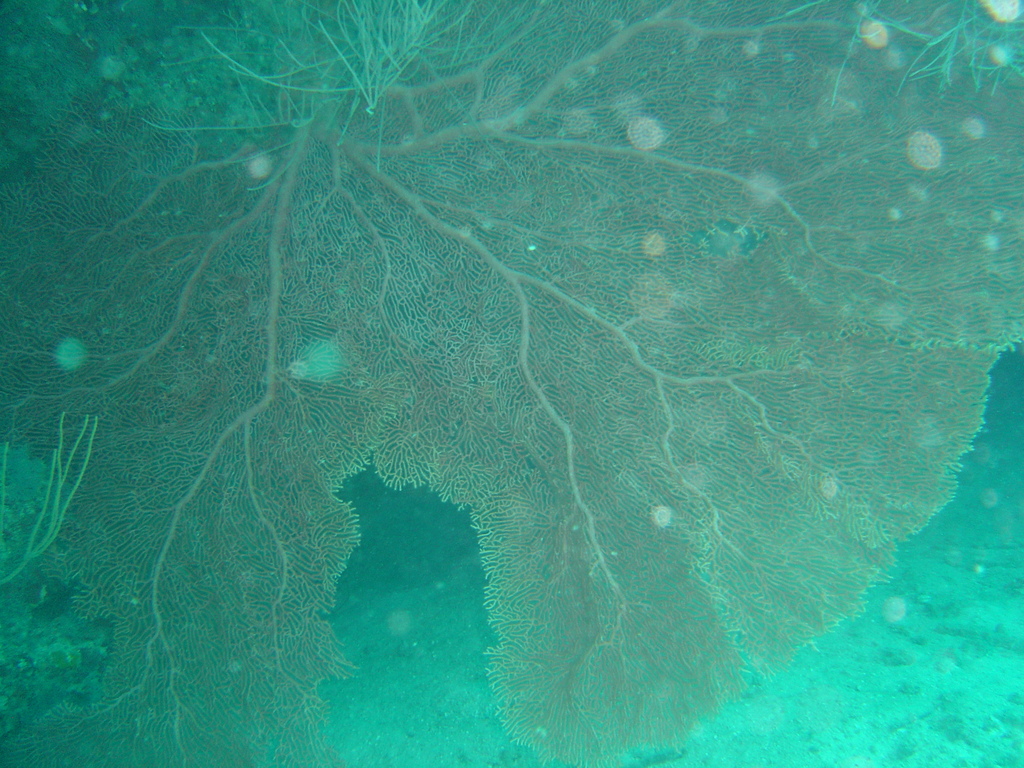 DSC00245.JPG