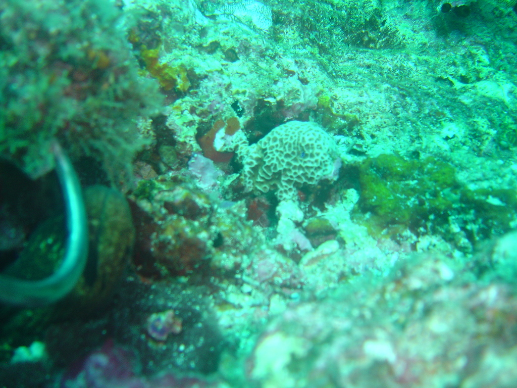 DSC00252.JPG