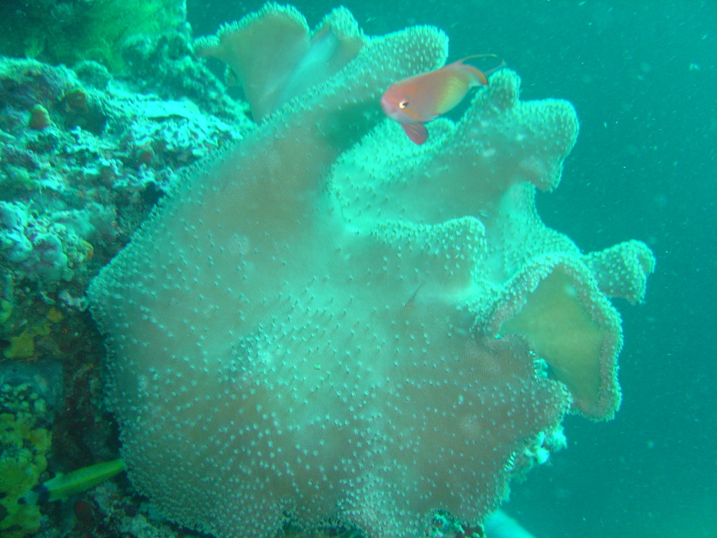DSC00264.JPG
