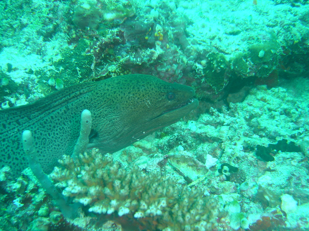 DSC00272.JPG