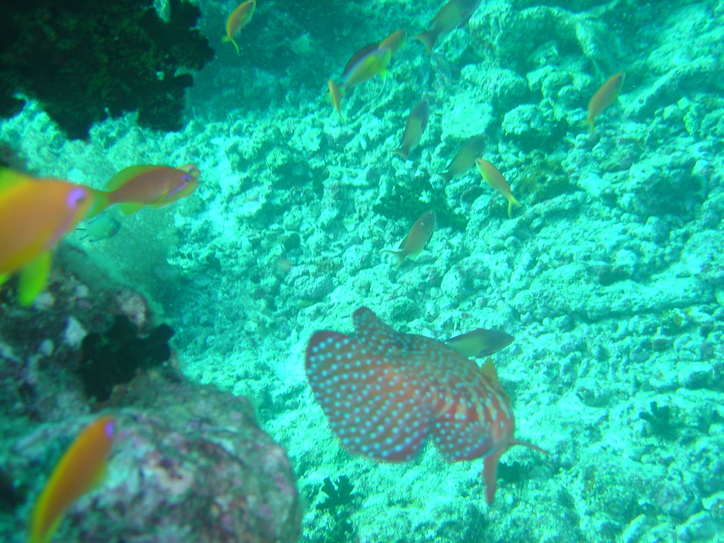 DSC00282.JPG