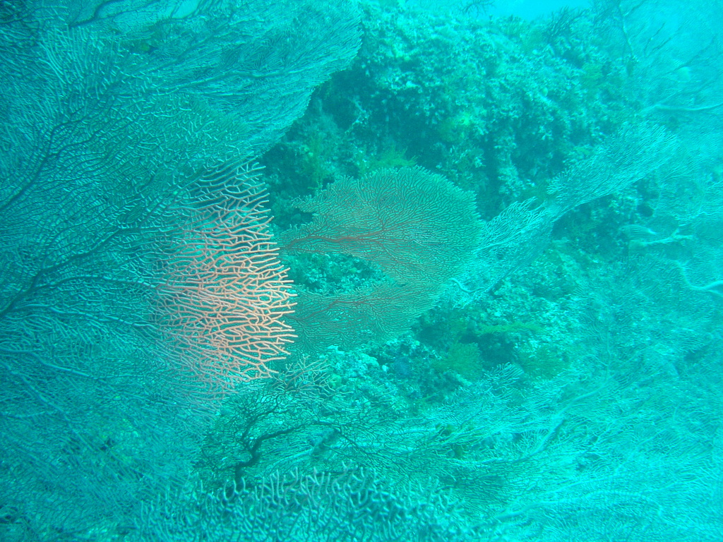 DSC00285.JPG