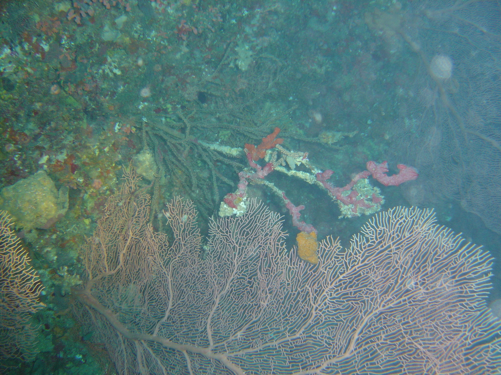 DSC00287.JPG