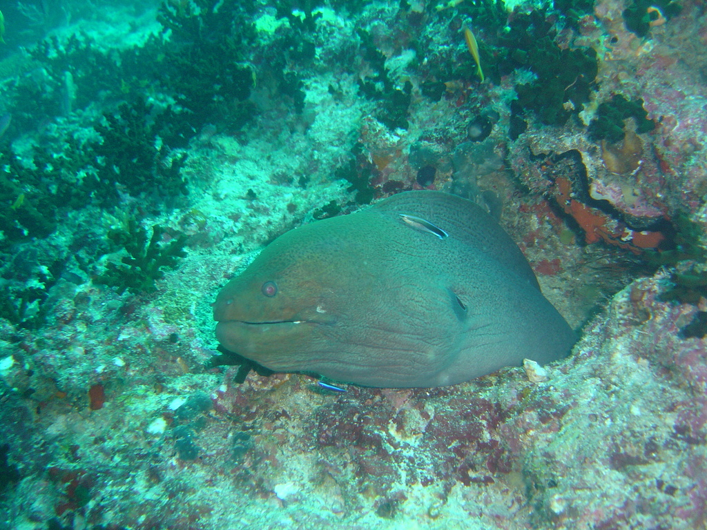 DSC00307.JPG