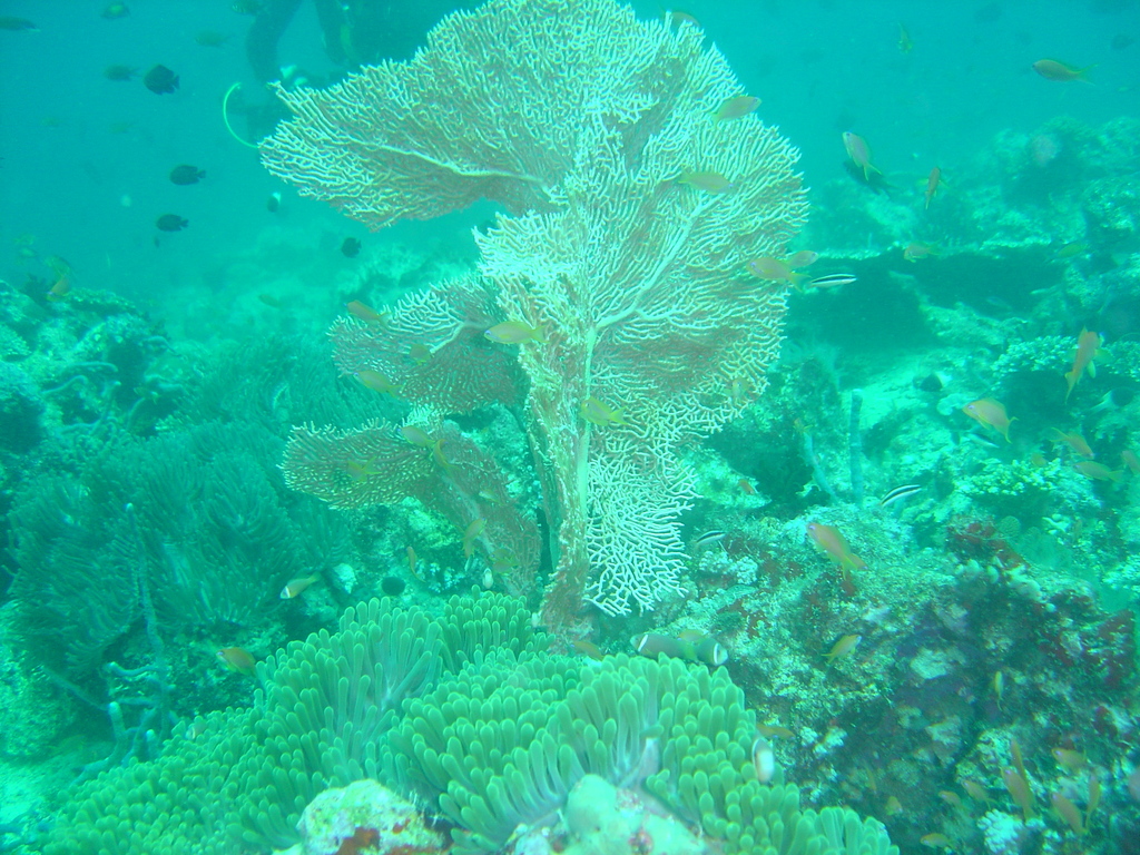 DSC00319.JPG