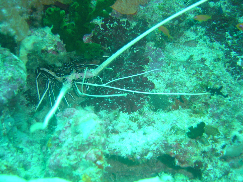 DSC00323.JPG
