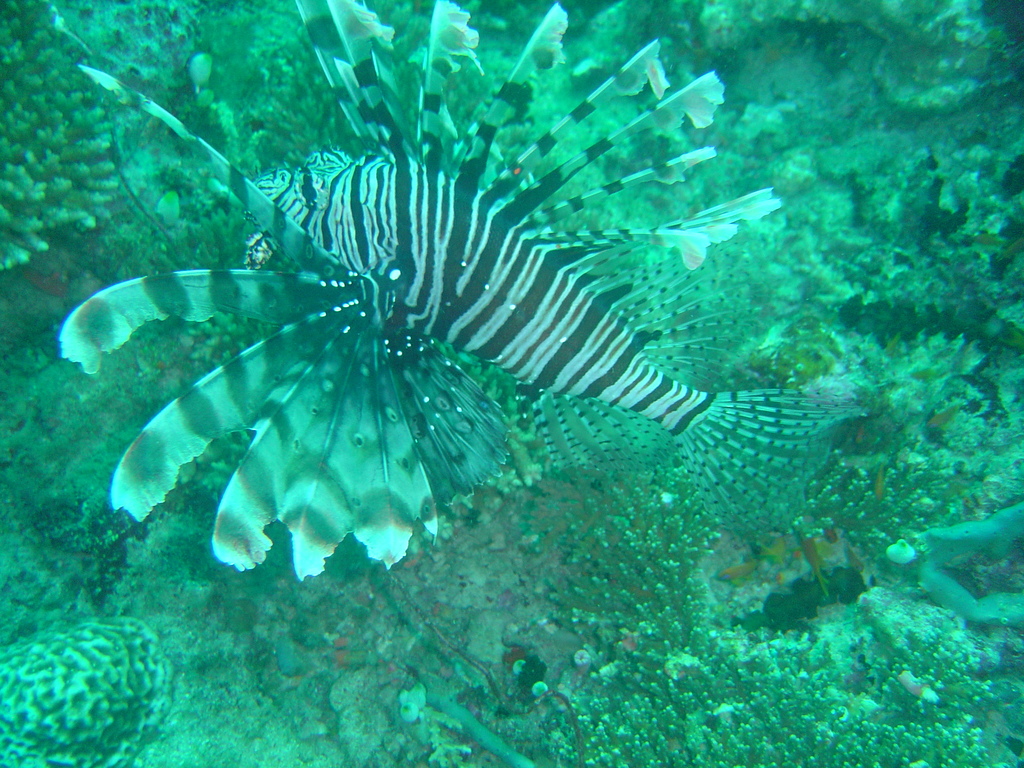 DSC00331.JPG