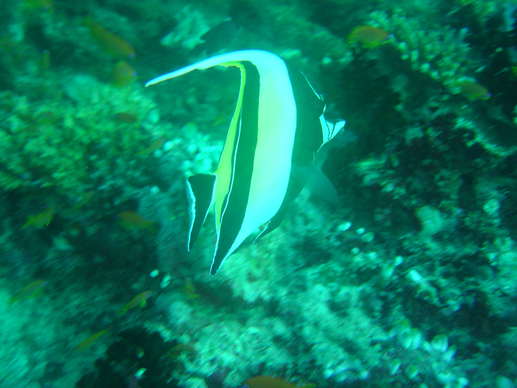 DSC00334.JPG