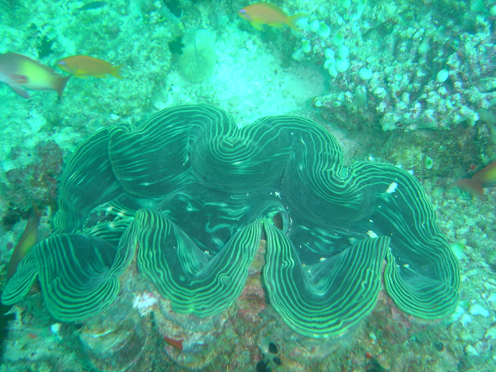 DSC00335.JPG