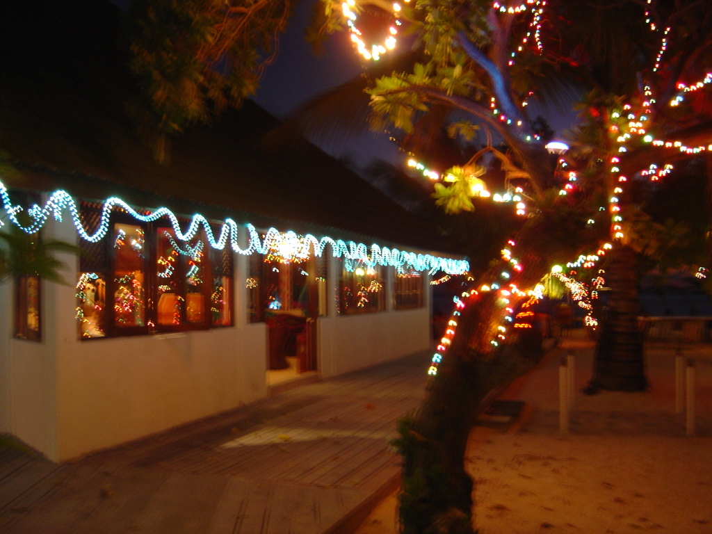 DSC00342.JPG