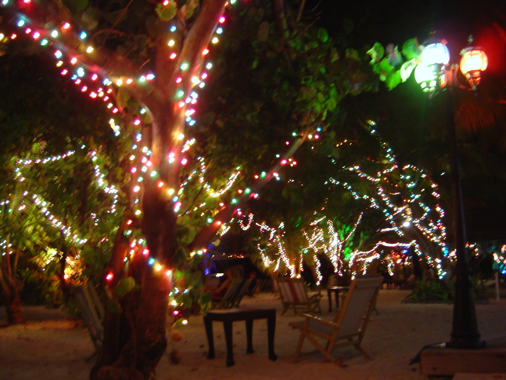 DSC00347.JPG