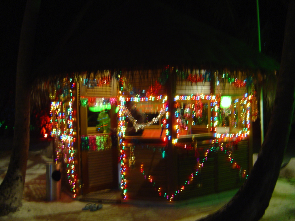 DSC00352.JPG