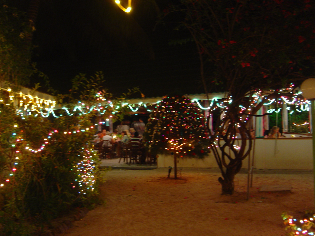 DSC00358.JPG