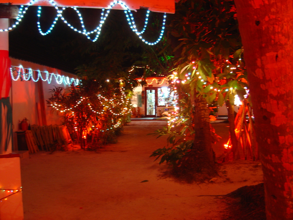 DSC00362.JPG