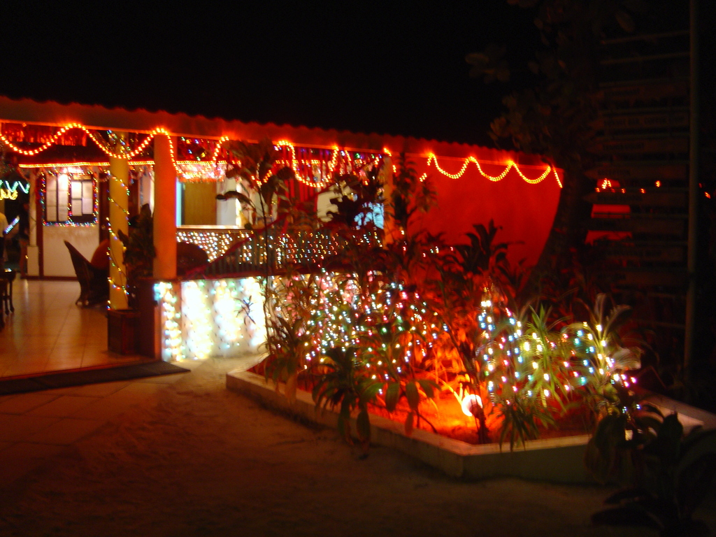 DSC00364.JPG